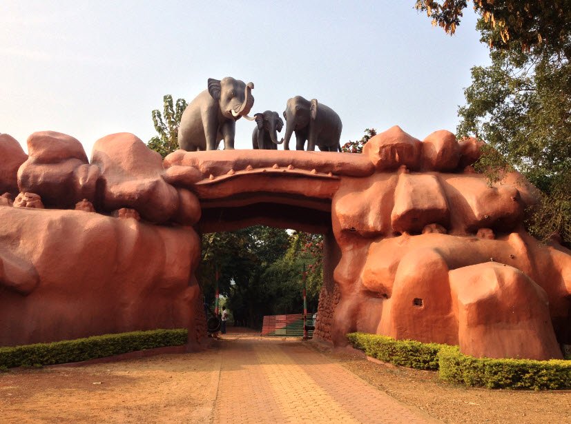 Chandaka Dampara Wildlife Sanctuary, Cuttack, Odisha - Vushii.com